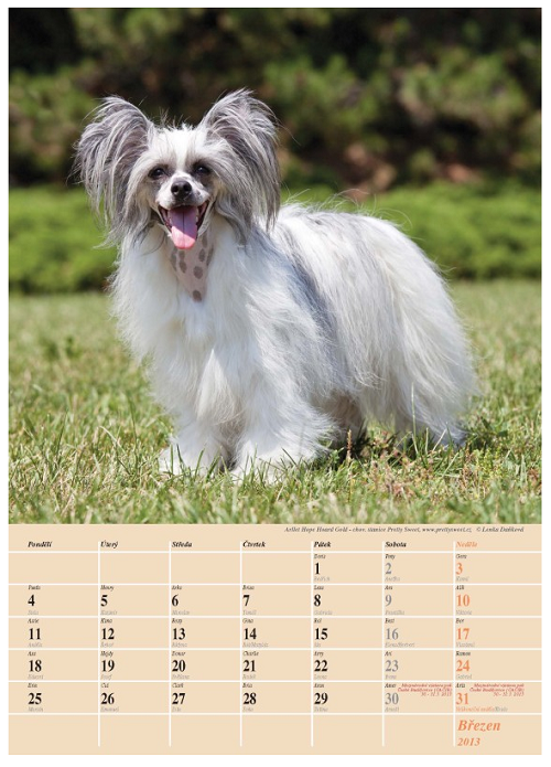 kalendar