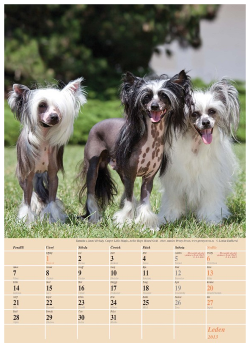 kalendar